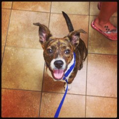 unadjustednonraw_thumb_3b65